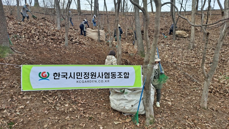 낙엽담기.jpg