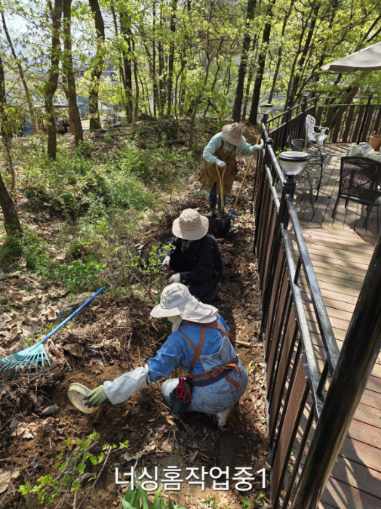 이식작업지 조성.jpeg